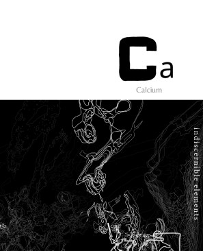 Indiscernible Elements: Calcium by Korynn Newville