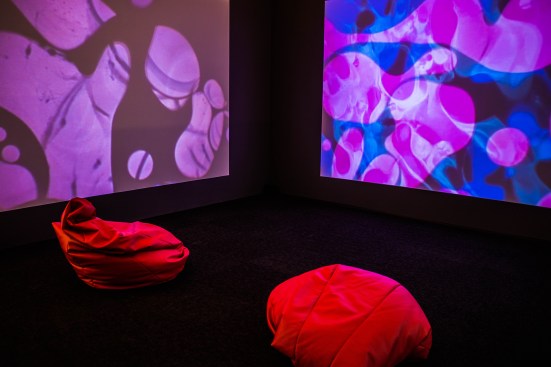 Wall projections of Boyle Family films