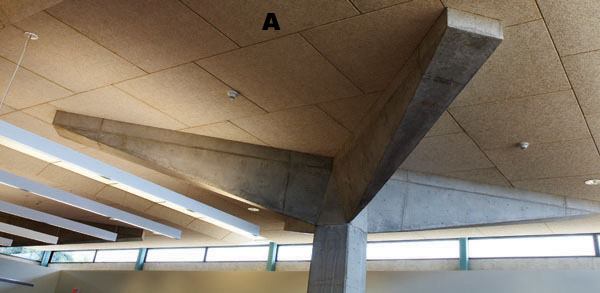 A  Acoustical ceiling panels Tectum 
www.tectum.com High-impact wood fiber panels  • Abuse resistant  • Can be installed in a grid system or direct-attached  • Available in unpainted natural, white, or custom colors  • R-value is 1.75 per inch  • Light reflectance is up to 0.75  • Available product lines include lay-in, Tonico, Multiplane, V-line, and Designer Series panels