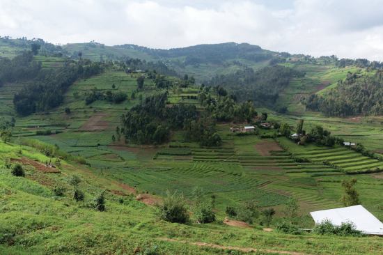 The terraced landscape of the hospital site in Butaro.