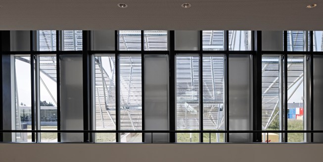 View of canopy from the interior