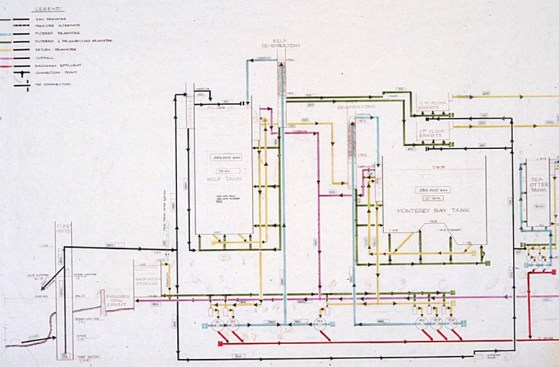 A diagram of the primary seawater system, which includes the intake system, filtration of incoming seawater, and distribution to the Kelp Forest and Monterey Bay Habitats tanks, as well as their filtration systems.