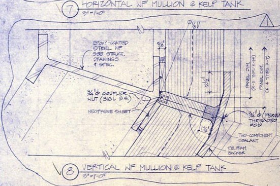 Plan section of a vertical steel mullion for the kelp tank glass walls