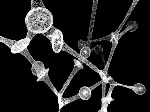Oh Knit: detail of volumetric armature of monofilament and bioplastic prior to planting