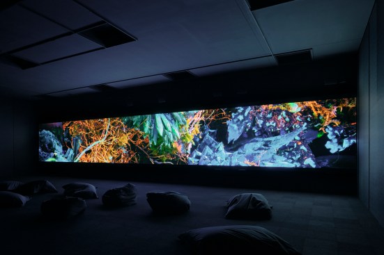Richard Mosse, Broken Spectre, 2018–2022. Four channel video installation with 12.2 surround sound, 74 minutes and 11 seconds. Produced in Brazil and Ecuador. Installation view, NGV