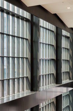 Curtainwall detail