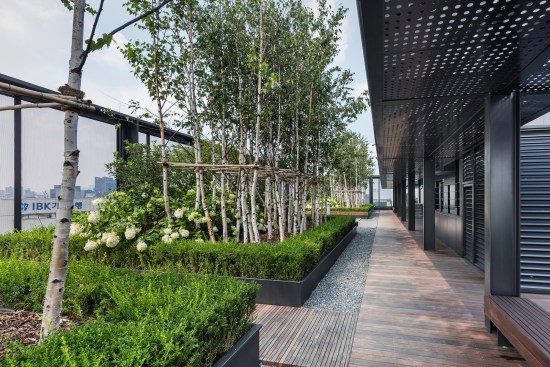 Roof Terrace
