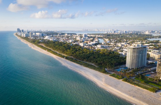 Eighty Seven Park.