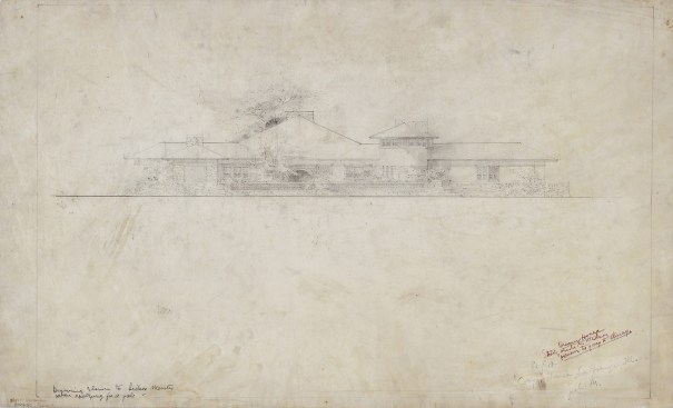 The First Drawing