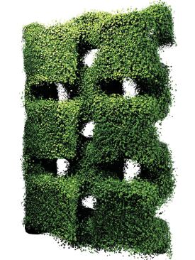 Populated with ivy