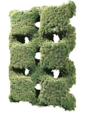 Populated with moss