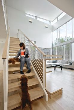 Clerestory glazing emphasizes the height of the living area.