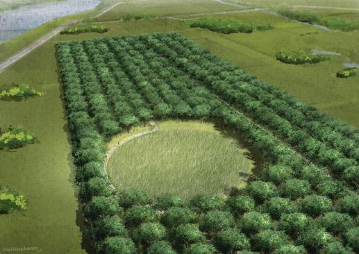 Aerial view of memorial grove.