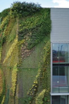 One of the projects highlighted in the Performative Envelope Lab research is the Leamouth Peninsula Building N in London. Tight, urban site conditions limit the amount of greenspace on the site, so the architects looked to include vegetation in vertical garden façades overlayed on reinforced-concrete walls on each of the four faces of the building.