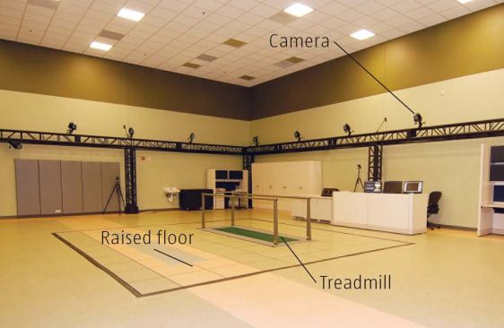 The floor is raised to accommodate eight force plates, including two in the treadmill.
