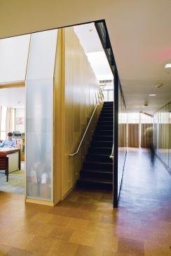 The double-height second floor is the social heart of the building, where students and faculty can casually meet and mix on the stairs.