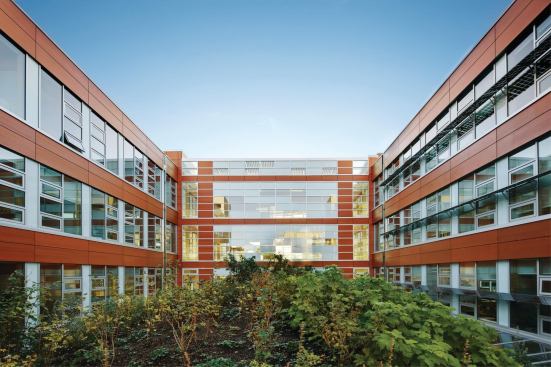 Green Roof