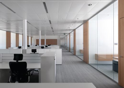 Open office space with natural light filtering through glass partitions enclosing the perimeter offices