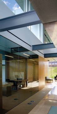 Some staff receive private offices for acoustical privacy, although each space remains visually open via floor-to-ceiling glass. Detailing is clean and simple, with doors matching glass panel sizes. Clerestories help illuminate the circulation spaces.
