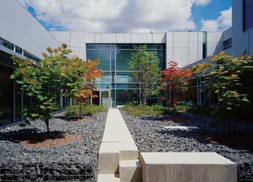 The new offices face either the central courtyard or a restored wetland to the south. The subtle palette of glass and custom light-gray recycled aluminum panels complements the stone of the original Brooks Farm.