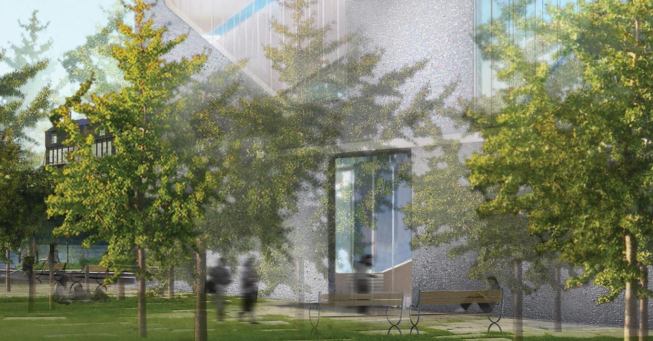 Reading garden with ginko trees.