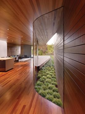 Another look at the curved glass wall and garden, which the judges particularly admired.