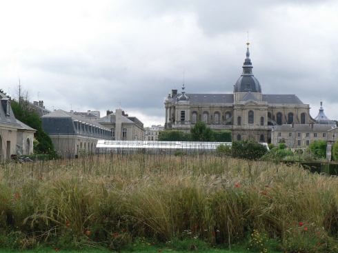 Cao | Perrot created three “pollen gardens” in France for a nonprofit that promotes awareness of allergies. This, a temporary one at the potager du roi (king's kitchen garden) at Versailles, was planted with 17 species including wild wheats and poppies. Perrot loved working with the older wheat varieties, which grow tall and have different colors and textures from typical Big Ag stalks. “I’d never seen a field full of those plants. It’s fantastic, it’s beautiful,” he says.  