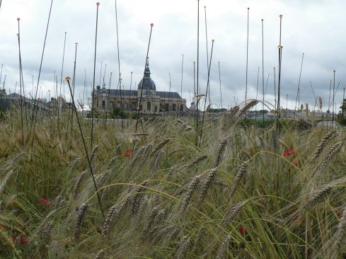 Pollen gardens. 