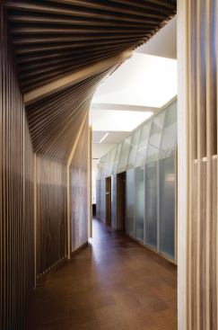 The architects introduced daylight between program spaces to encourage interaction between faculty and students. 