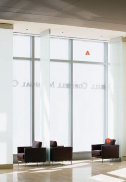 A-Insulated fritted glazing  Viracon Insulated glass units are constructed from two or more panes of glass separated by a dessicantfilled spacer and sealed with organic sealant  • Multiple glass options available, including different glass for each of the plies  • Custom frit pattern and coloration allows for light transmittance while still maintaining privacy for interior spaces  B-Divina side chair  KnollStudio Chrome-plated steel frame  • Solid hardwood frame  • Standard and softer dual-density foam options available  • Can be upholstered in KnollTextiles or Spinneybeck Leather  • Greenguard IAQ certified  • Standard and petite lounge chair (30&frac12; and 37 inches wide), settee (66 inches wide), sofa (91 inches wide), and ottoman available  • Petite lounge chair measures 31&frac14; inches deep, while other seating is 35&frac12; inches deep  • Optional side cushion available  • Designed by Piero Lissoni