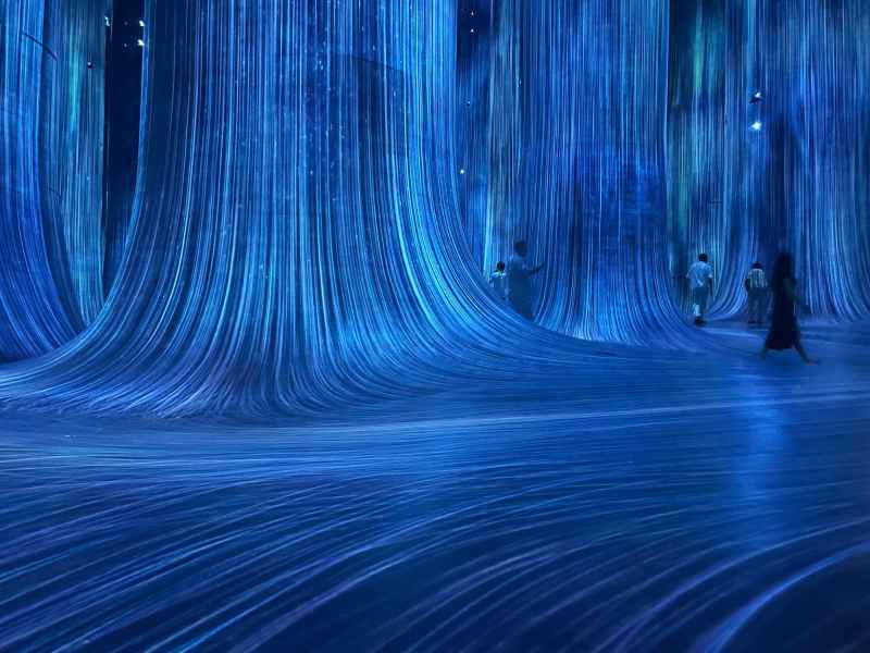 Teamlab Phenomena exhibition in Abu Dhabi.